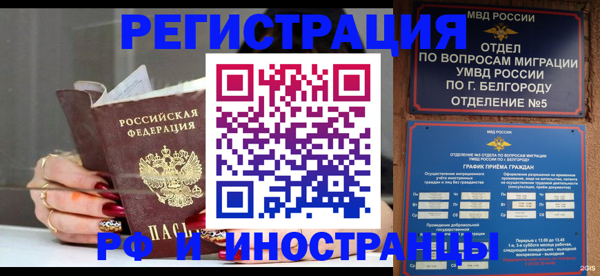 прописка в Кувшиново